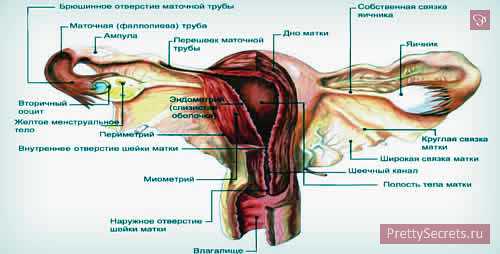 ретенционная киста нижней губы: причины появления, лечение