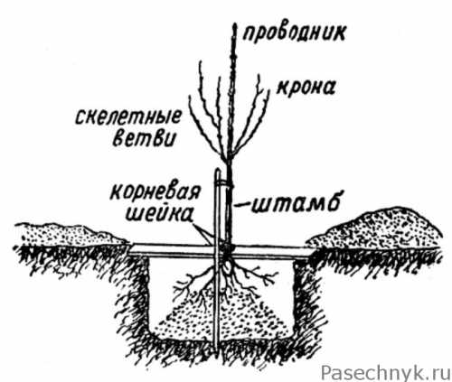 аварийная экстренная посадка самолета в аэропорту: скорость, когда он коснулся посадочной полосы аэродрома